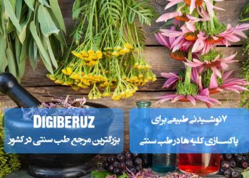 تقویت کلیه ها در طب سنتی با گیاهان دارویی