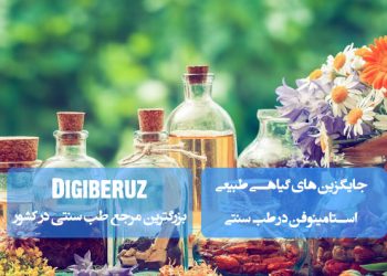 جایگزینهای گیاهی استامینوفن در طب سنتی؛ زردچوبه، زنجبیل، پونه کوهی، آویشن، نعناع، گل گاوزبان، گیلاس، انگور قرمز، روغن بذر کتان و پوست درخت بید سفید
