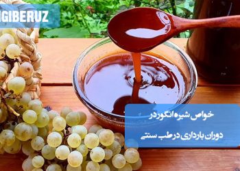 خواص شیره انگور در دوران بارداری؛ تأمین انرژی، درمان کمخونی، کاهش نفخ، تقویت سیستم ایمنی، بهبود سلامت پوست، تنظیم فشار خون و کمک به خواب راحت