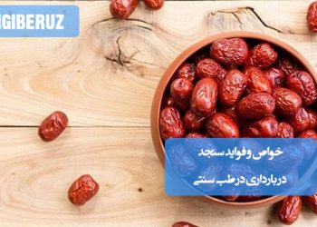 خواص سنجد در بارداری؛ تقویت استخوان‌ها، کاهش التهاب، بهبود عملکرد گوارش، افزایش انرژی، تقویت سیستم ایمنی و تأمین مواد معدنی ضروری