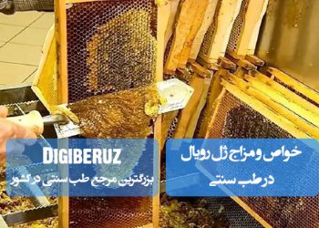 "ژل رویال؛ ماده‌ای مغذی با مزاج گرم، تقویت‌کننده سیستم ایمنی، ضدالتهاب، افزایش انرژی، بهبود عملکرد مغز، کمک به باروری و تقویت پوست در طب سنتی.