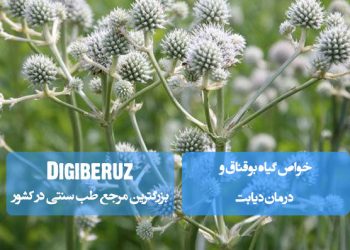 خواص گیاه بوقناق در درمان دیابت؛ تنظیم قند خون، فعال‌سازی پانکراس، پاکسازی کبد، کاهش حملات قلبی، بهبود عملکرد گوارش و تقویت سیستم ایمنی.