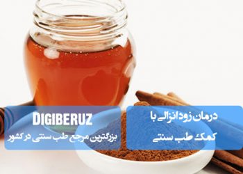 روشهای طبیعی و سنتی درمان زودانزالی؛ بهرهگیری از گیاهان دارویی، تقویت مزاج و نسخههای مجرب طب سنتی