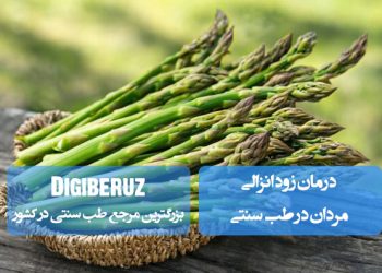 درمان زودانزالی مردان با نسخههای گیاهی طب سنتی؛ استفاده از داروهای گیاهی، ماساژ و رژیم مناسب برای تقویت قوای جنسی