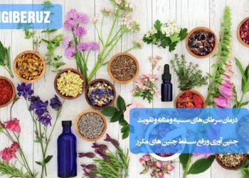 درمان سرطانهای سینه و مثانه، تقویت جنینآوری و رفع سقط جنینهای مکرر؛ شامل روشهای جراحی، شیمیدرمانی، تغذیه مناسب، گیاهان دارویی و اصلاح سبک زندگی