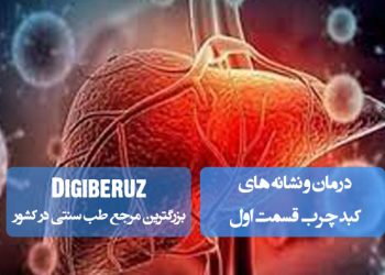 درمان و نشانه های کبد چرب قسمت اول