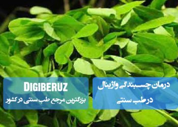 درمان چسبندگی واژینال در طب سنتی؛ استفاده از عسل، روغن زیتون، دمنوشهای گیاهی، تغذیه گرم، پرهیز از شستشوی رحم در پریودی و اصلاح مزاج