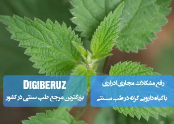 رفع مشکلات مجاری ادراری با گیاه دارویی گزنه در طب سنتی