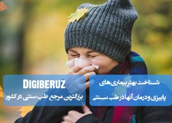بیماری‌های پاییزی و درمان سنتی؛ مصرف زنجبیل، آویشن، بابونه، تغذیه گرم، سوپ گیاهی، دمنوش‌ها، پرهیز از غذاهای سرد، تقویت سیستم ایمنی بدن
