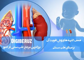ضعف کلیه ها و روش تقویت آن بر مبنای طب سنتی