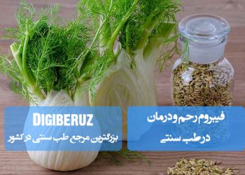 درمان فیبروم رحم در طب سنتی؛ استفاده از گیاهان دارویی مانند شنبلیله و خارشتر، اصلاح تغذیه، بادکش درمانی، زالو درمانی و مصرف دمنوش‌های گیاهی.