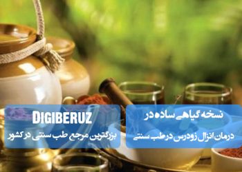 نسخه گیاهی سنتی برای درمان انزال زودرس؛ ترکیب گیاهان دارویی موثر مانند زنجبیل، دارچین و عسل