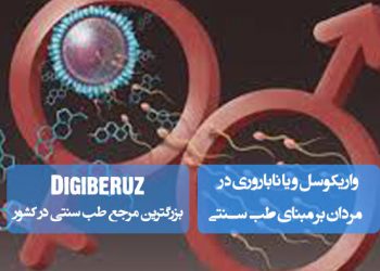 درمان واریکوسل و ناباروری مردان در طب سنتی؛ مصرف دمنوش گل گاو زبان، ماساژ با روغن زیتون، استفاده از ماءالجبن، زالو درمانی و پرهیز از غذاهای سودازا
