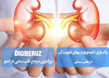 پاکسازی کلیه و روشهای تقویت آن در طب سنتی