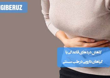 کاهش دردهای قاعدگی با گیاهان دارویی در طب سنتی؛ استفاده از زنجبیل، بابونه، دارچین، بومادران و رازیانه برای تسکین درد، تنظیم هورمونها و کاهش التهاب