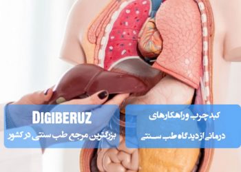 کبد چرب و راهکارهای درمانی از دیدگاه طب سنتی