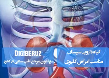 گیاه دارویی سپستان مناسب امراض کلیوی