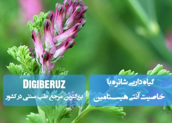 گیاه دارویی شاتره؛ دارای خاصیت آنتیهیستامین، ضدالتهاب، پاککننده خون، تقویتکننده کبد، کاهش حساسیتهای پوستی و بهبود عملکرد دستگاه گوارش