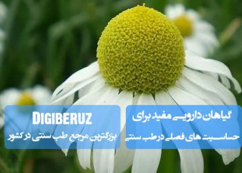 گیاهان دارویی مفید برای حساسیت‌های فصلی؛ مصرف زنجبیل، آویشن، بابونه، گزنه، نعناع، چای سبز، عسل، سرکه سیب و تقویت سیستم ایمنی بدن