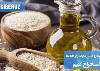 آموزش استخراج روغن کنجد در خانه: مراحل ساده تهیه روغن تازه و سالم از دانههای کنجد با روشهای خانگی
