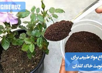 مواد طبیعی موثر برای تقویت خاک گلدان: پوست تخم مرغ، پوست موز، آب برنج، تفاله چای و قهوه، خاکستر و آب آکواریوم. این مواد سرشار از کلسیم، پتاسیم و مواد مغذی هستند که رشد گیاهان را بهبود میبخشند