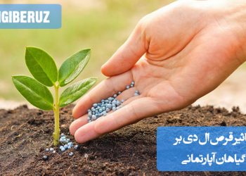 تاثیر قرص الدی بر رشد و سلامت گیاهان آپارتمانی: فواید، نحوه مصرف و نکات مهم