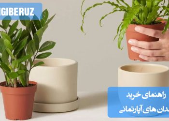 راهنمای جامع خرید گلدان آپارتمانی: انتخاب سایز، جنس، طراحی و نکات مهم برای سلامت و زیبایی گیاهان داخلی