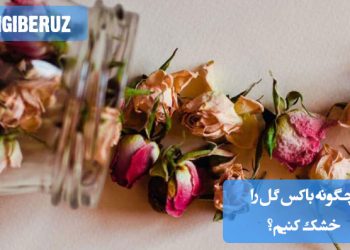 روشهای ساده و موثر برای خشک کردن باکس گل و حفظ زیبایی آن بهصورت دائمی در خانه