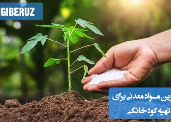 معرفی بهترین مواد معدنی برای تهیه کود خانگی؛ تامین نیتروژن، فسفر، پتاسیم، کلسیم و منیزیم برای رشد گیاهان