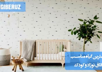 بهترین گیاهان مناسب اتاق نوزاد و کودک برای تصفیه هوا و ایجاد محیطی سالم و آرامش‌بخش در خانه