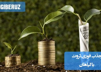 "معرفی گیاهانی که به باورها جذب فوری ثروت و انرژی مثبت را در خانه و محل کار افزایش میدهند."