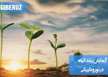 "آزمایش رشد گیاه در نور و تاریکی: مقایسه سرعت رشد گیاهان در شرایط نورانی و بدون نور برای بررسی تأثیر نور"