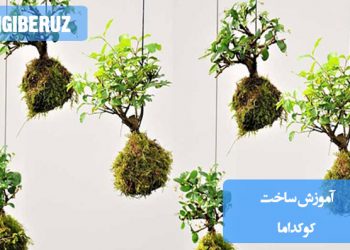 آموزش ساخت کوکداما؛ روش تهیه، مراحل بستن ریشه و گل، و نکات مراقبتی برای نگهداری گیاهان کوکداما در خانه