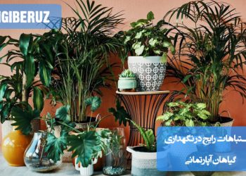 "اشتباهات رایج در نگهداری گیاهان آپارتمانی: آبیاری زیاد، نور ناکافی و استفاده از خاک نامناسب"