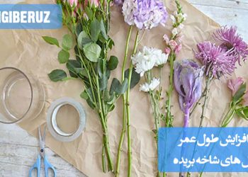 روشهای مؤثر برای افزایش طول عمر گلهای شاخه بریده در گلدان، شامل نکات کاربردی برای تازه نگه داشتن گلها، جلوگیری از پژمردگی و افزایش ماندگاری گلهای طبیعی در منزل یا محل کار