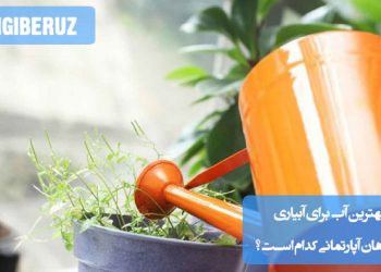 بهترین آب برای آبیاری گیاهان آپارتمانی، آب مقطر یا آب باران است که فاقد مواد شیمیایی اضافی مانند کلر و فلوراید است. همچنین، آب تصفیه‌شده با سیستم اسمز معکوس نیز گزینه مناسبی است