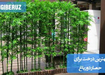 درختان بلند و سرسبز مانند سرو، توت، افرا و ارغوان در حاشیهی باغ، بهعنوان حصار طبیعی؛ نمایش درختانی که برای ایجاد حریم خصوصی و محافظت از باغ در برابر باد و آلودگی ایدهآل هستند.