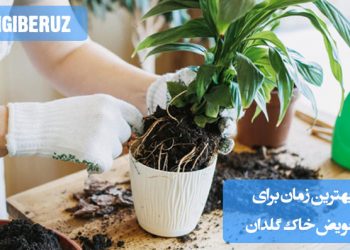 بهترین زمان برای تعویض خاک گلدان بسته به فصل رشد گیاه، نیاز به خاک جدید و بررسی وضعیت ریشهها، مناسب برای نگهداری و تقویت سلامت گیاهان آپارتمانی