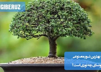 آموزش انتخاب بهترین نور برای بونسای با استفاده از چراغهای مخصوص گیاهان