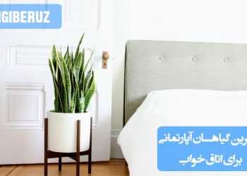 "معرفی بهترین گیاهان آپارتمانی برای اتاق خواب که هوای تازه و آرامشبخش ایجاد میکنند."