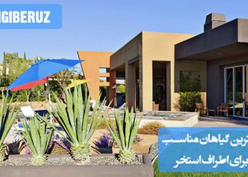 "بهترین گیاهان مناسب برای اطراف استخر: گیاهانی مقاوم به رطوبت و تابش مستقیم آفتاب برای زیبایی و سایه"