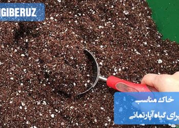 انتخاب خاک مناسب برای گیاهان آپارتمانی، یک عامل کلیدی برای رشد سالم و بهینه گیاهان است. این مقاله به بررسی انواع خاک‌ها و ویژگی‌های آن‌ها برای گیاهان داخلی می‌پردازد.