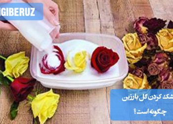 "آموزش خشک کردن گل با رزین برای حفظ زیبایی و ساخت اکسسوریهای ماندگار و تزئینی."