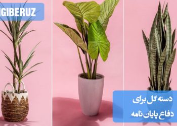 دسته گل برای دفاع پایاننامه: انتخاب گلهای رسمی و شیک مانند رز، لیلیوم یا ارکیده برای هدیهای خاص و ماندگار در مراسم دفاع از پایاننامه دانشگاهی