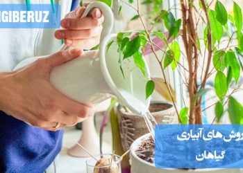 "روش‌های آبیاری گیاهان شامل آبیاری قطره‌ای، غرقابی و مه‌پاشی برای حفظ رطوبت و رشد بهینه."