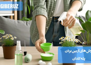 روش‌های طبیعی و مؤثر برای از بین بردن پشه‌ گلدان؛ جلوگیری از تخم‌گذاری و نابودی پشه‌های مزاحم در خاک گلدان‌های خانگی