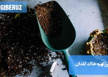 ترکیب خاک باغچه، پیت ماس، پرلیت و ورمی کمپوست برای تهیه خاک مناسب گلدانهای آپارتمانی، آموزش نحوه تهیه خاک با کیفیت برای رشد بهتر گیاهان