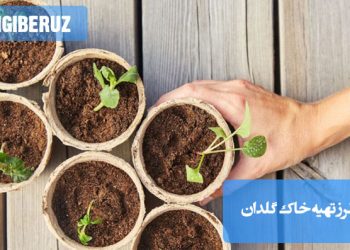 "طرز تهیه خاک گلدان: ترکیب خاک باغچه، پیت ماس و پرلیت برای بهبود زهکشی و تغذیه گیاه"