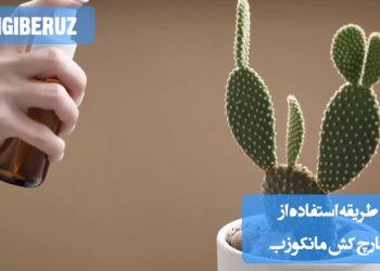 "طریقه استفاده از قارچ کش مانکوزب: حل کردن در آب و اسپری بر روی برگها برای کنترل بیماریهای قارچی"