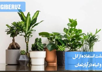 نقش گل و گیاه در تبدیل آپارتمان به فضایی گرم و دلنشین،طراحی دکوراسیون آپارتمان با گل‌ها و گیاهان آپارتمانی